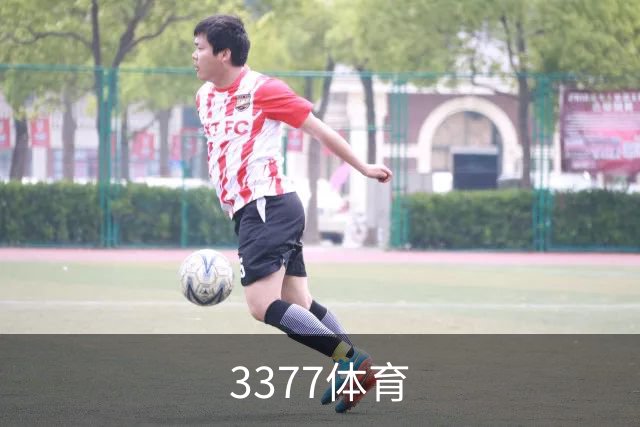 3377体育公司简介图